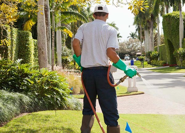 About Jacumba CA Pest Control Pros